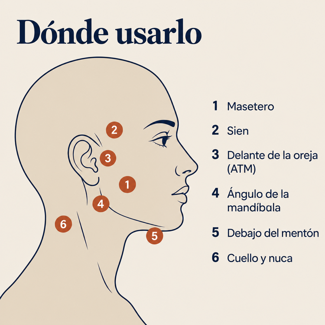 Mapa de las zonas de uso del masajeador en rostro y cuello